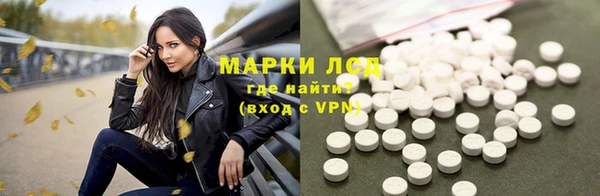 прущие грибы Балахна