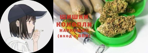 прущие грибы Балабаново