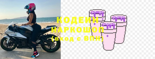 прущие грибы Балахна