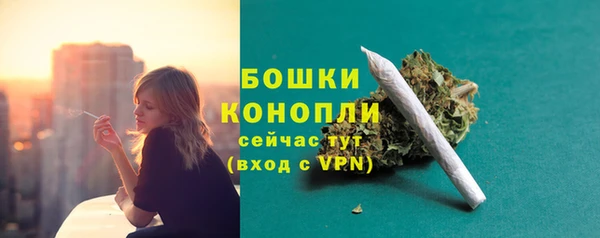 прущие грибы Балахна