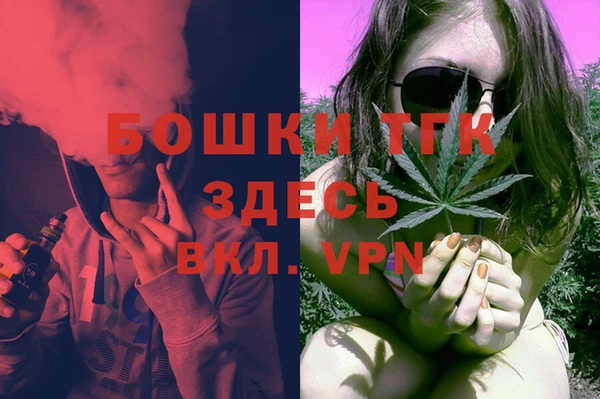 прущие грибы Балабаново
