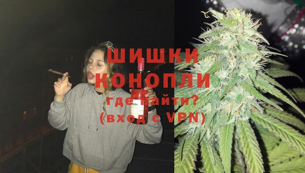 прущие грибы Балабаново