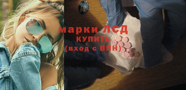 прущие грибы Балахна