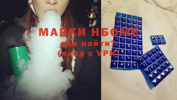 прущие грибы Балабаново